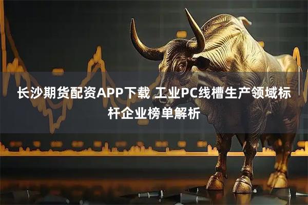 长沙期货配资APP下载 工业PC线槽生产领域标杆企业榜单解析