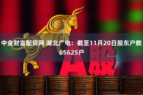 中金财富配资网 湖北广电：截至11月20日股东户数65625户