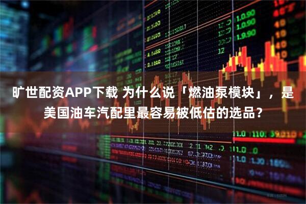 旷世配资APP下载 为什么说「燃油泵模块」,是美国油车汽配里最容易被低估的选品?